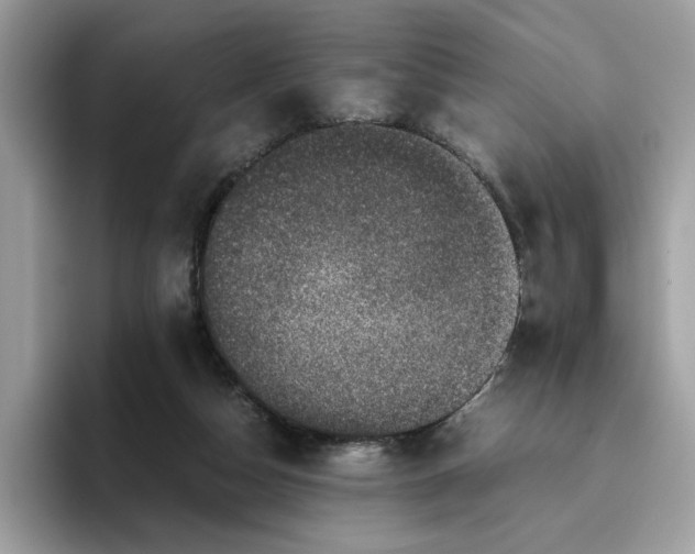 X0000095950162200801251137