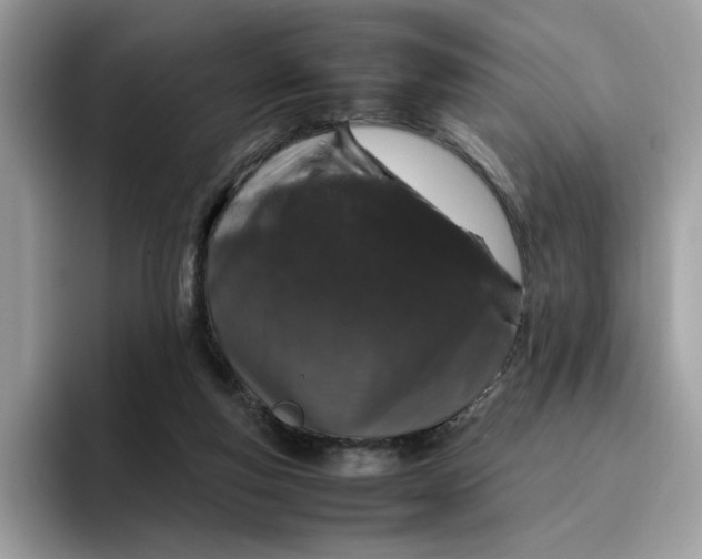 X0000095950163200801251137