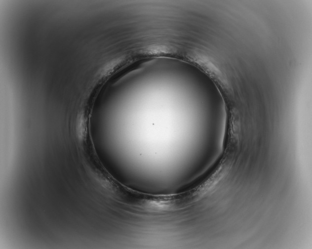 X0000095950164200801251137