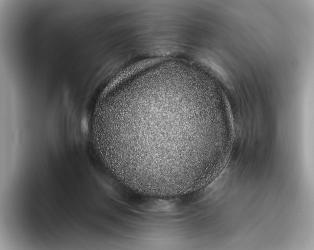 X0000095950166200801251137