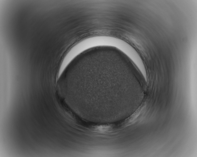 X0000095950168200801251137