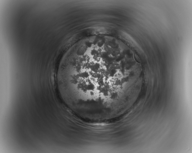 X0000095950169200801251137