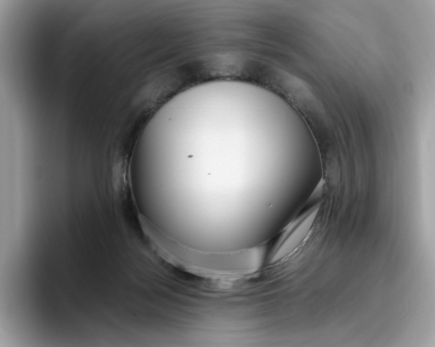 X0000095950172200801251137