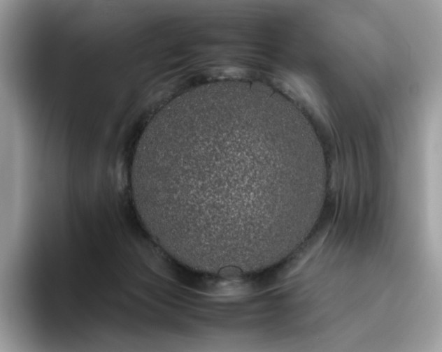 X0000095950173200801251137