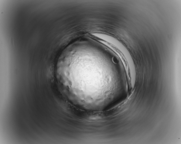 X0000095950175200801251137