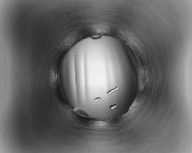 X0000095950176200801251137