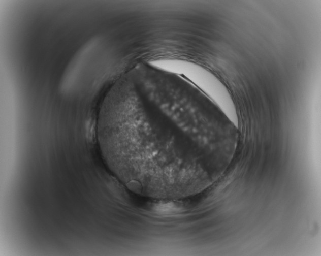 X0000095950177200801251137