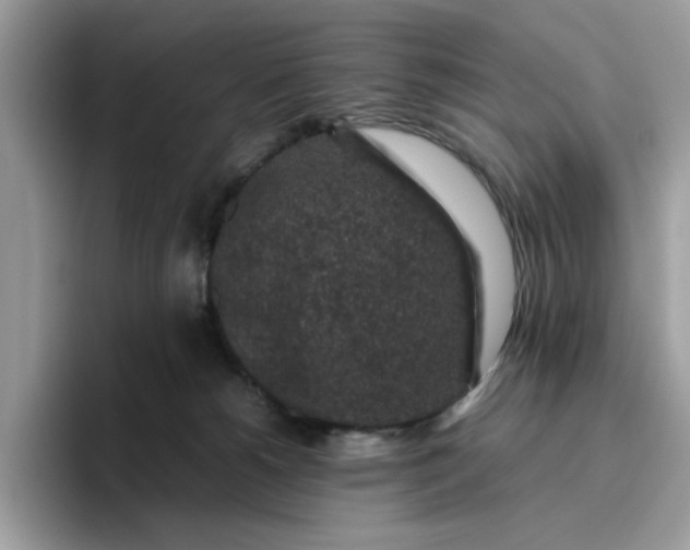 X0000095950180200801251137