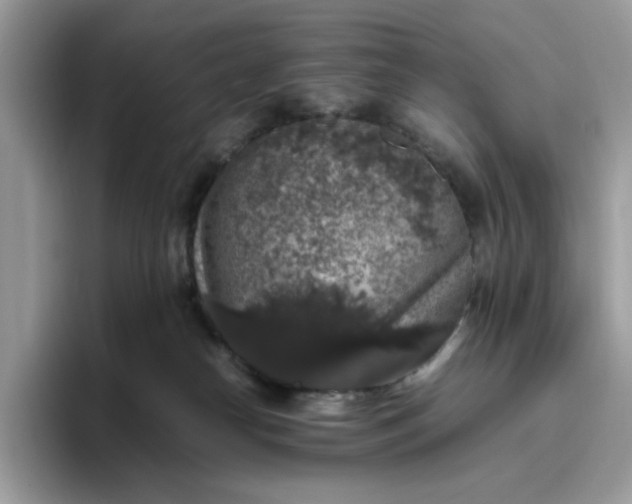 X0000095950182200801251137