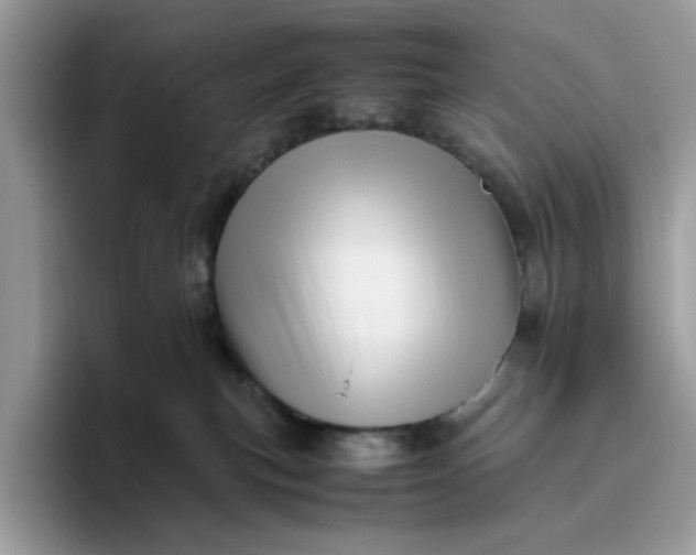 X0000095950183200801251137