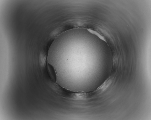 X0000095950188200801251137