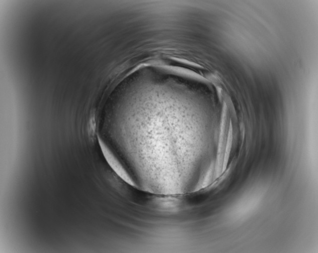 X0000095950190200801251137