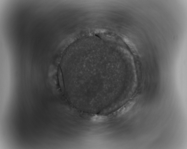 X0000095950192200801251137