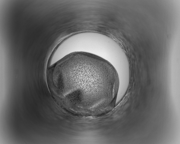 X0000095950195200801251137