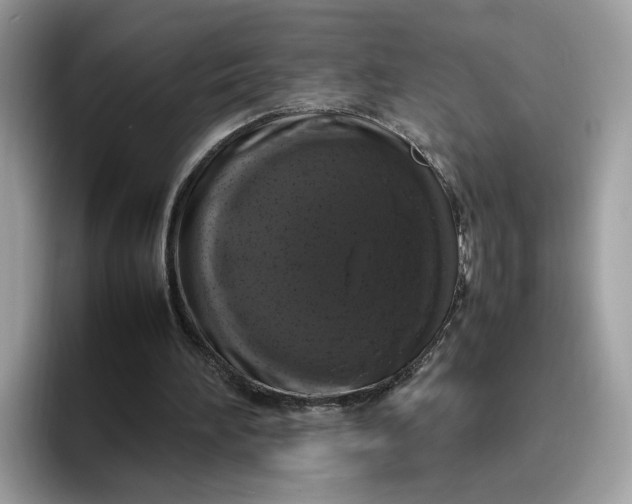 X0000095950196200801251137