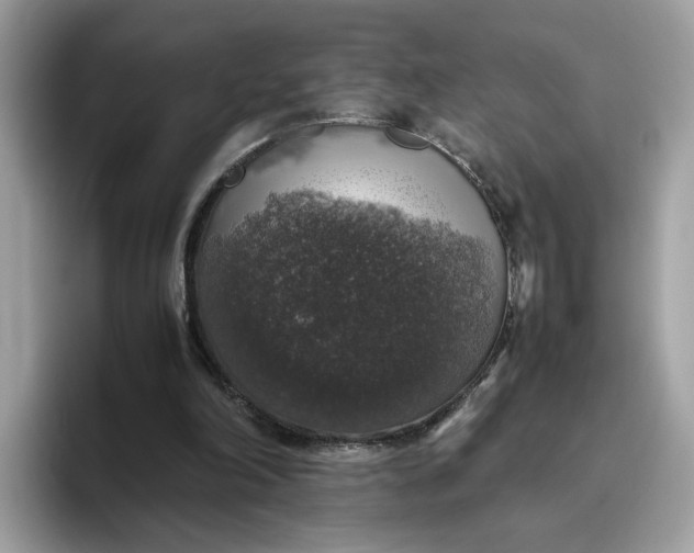 X0000095950198200801251137