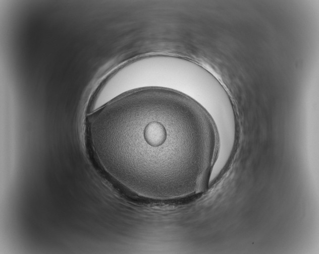 X0000095950199200801251137