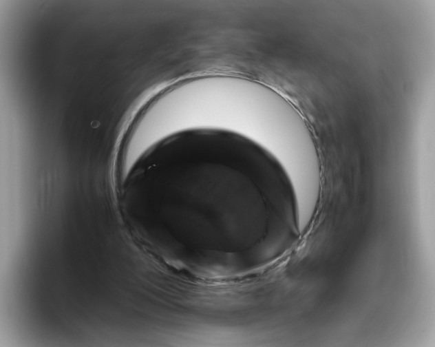 X0000095950200200801251137