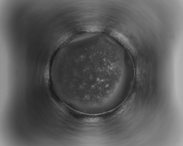 X0000095950202200801251137