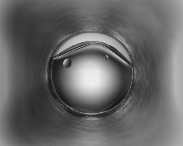 X0000095950203200801251137