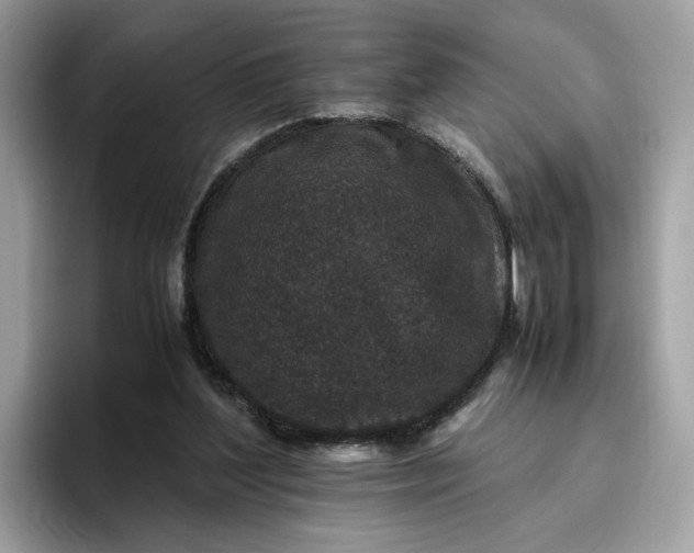 X0000095950204200801251137