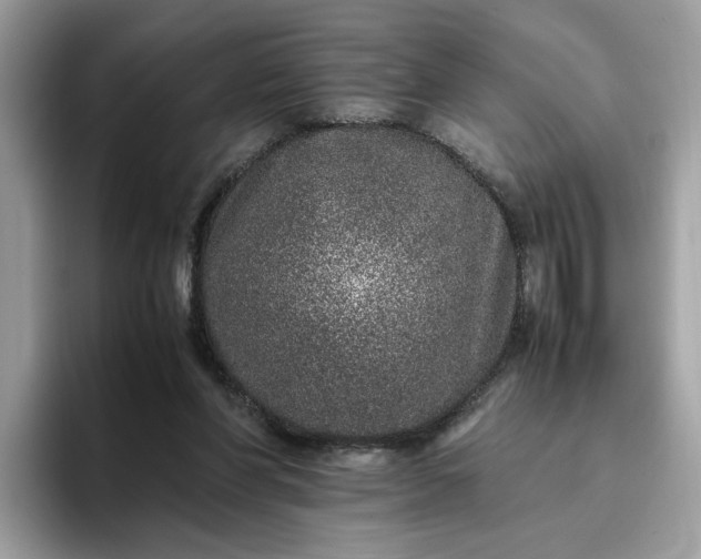 X0000095950206200801251137