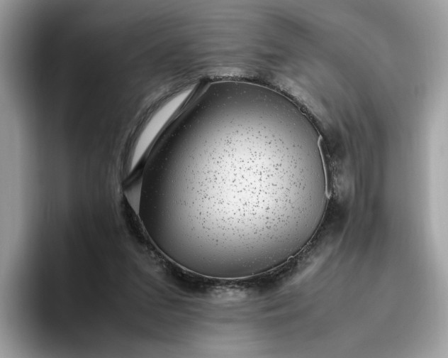 X0000095950207200801251137