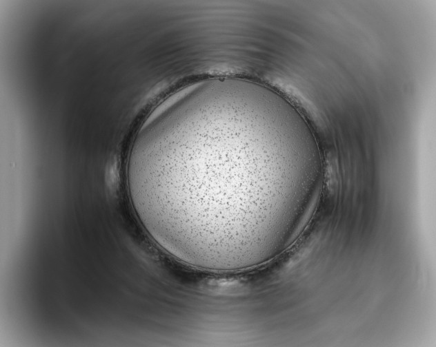 X0000095950208200801251136