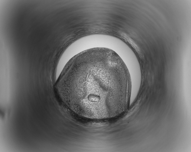 X0000095950209200801251136