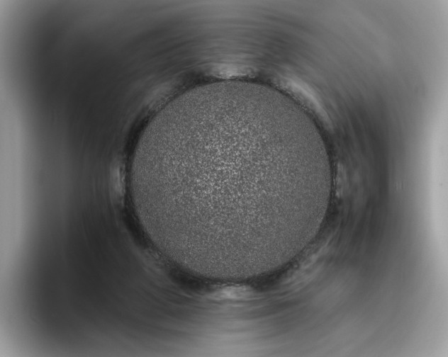 X0000095950210200801251136