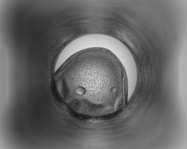 X0000095950211200801251136