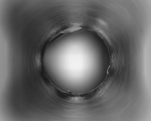 X0000095950212200801251136