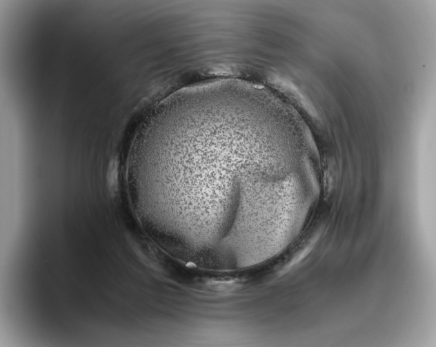 X0000095950213200801251136