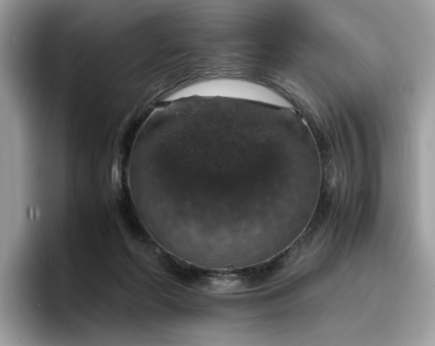 X0000095950214200801251136