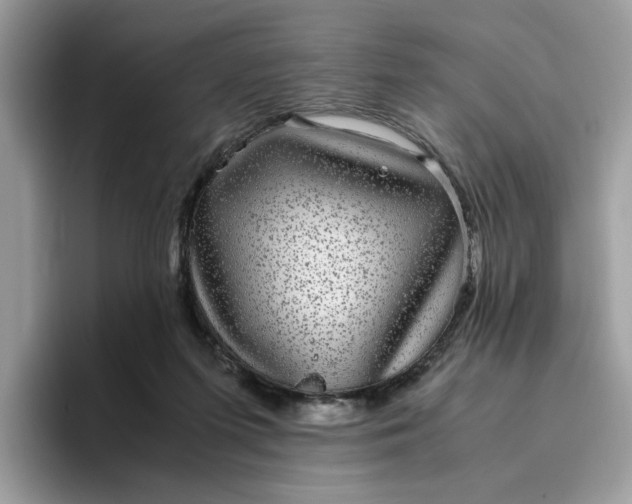 X0000095950215200801251136