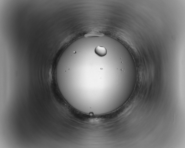 X0000095950216200801251136