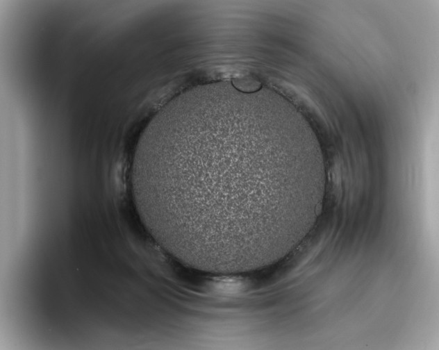 X0000095950218200801251136