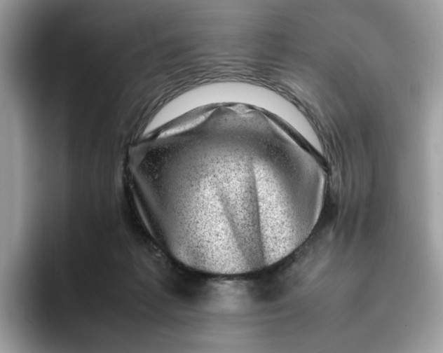 X0000095950221200801251136