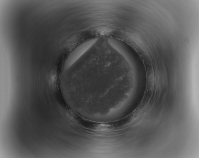 X0000095950222200801251136