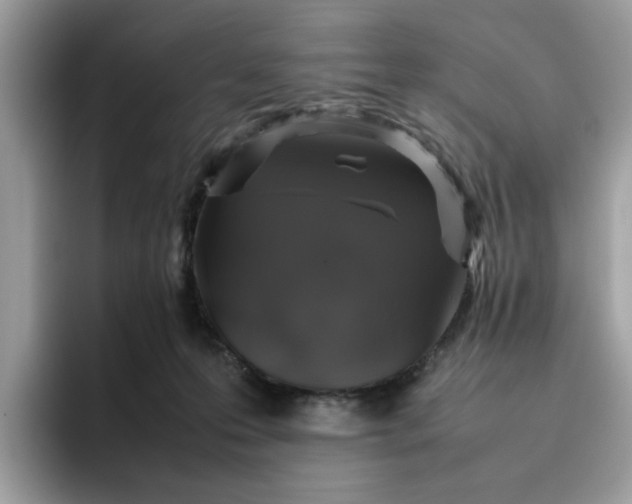 X0000095950223200801251136