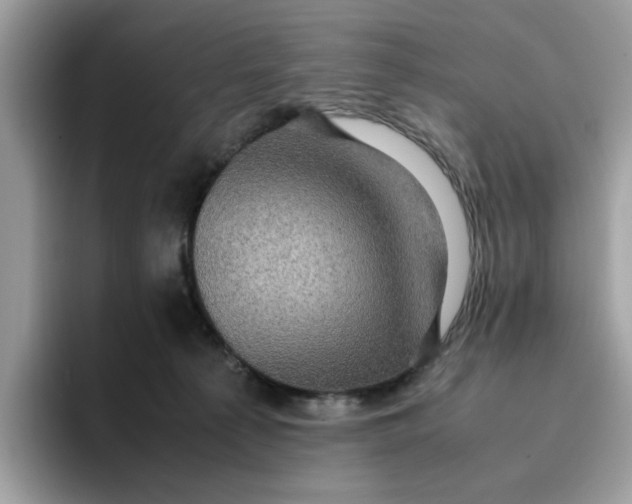 X0000095950225200801251136