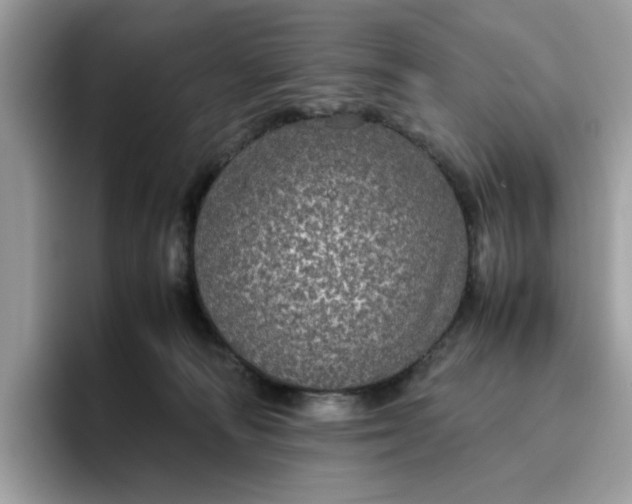 X0000095950226200801251136