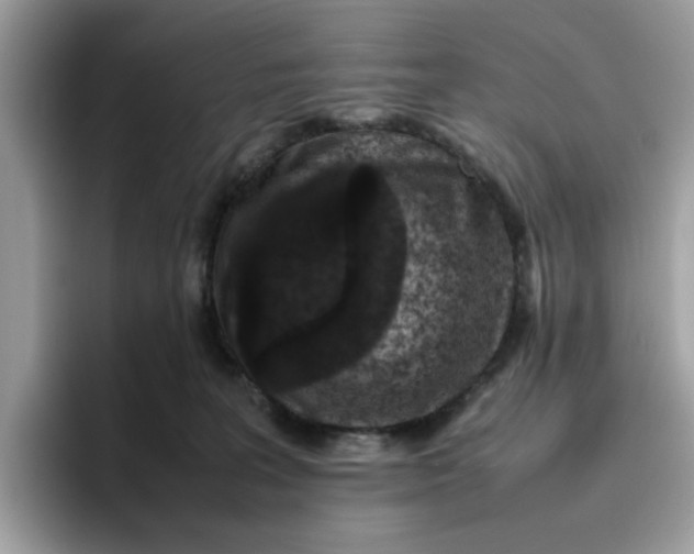 X0000095950227200801251136