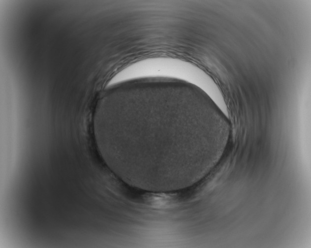 X0000095950229200801251136