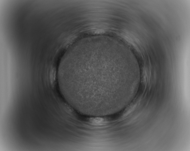 X0000095950230200801251136