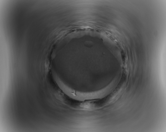 X0000095950231200801251136