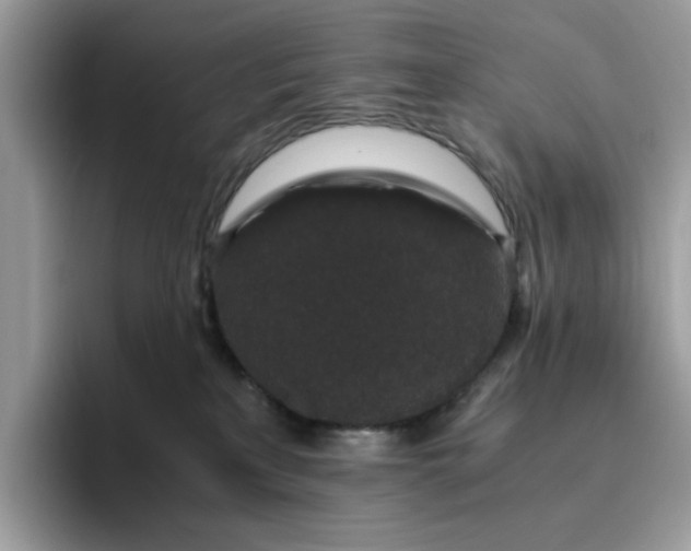 X0000095950233200801251136