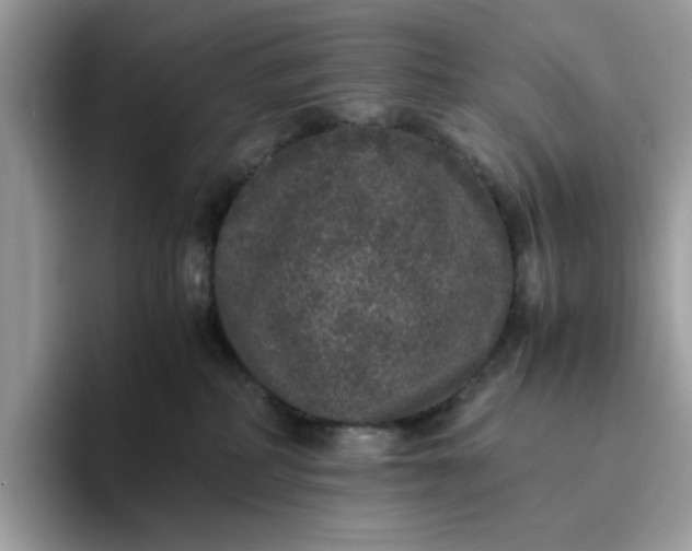 X0000095950234200801251136