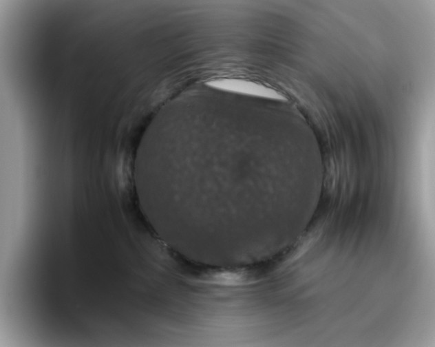 X0000095950236200801251136