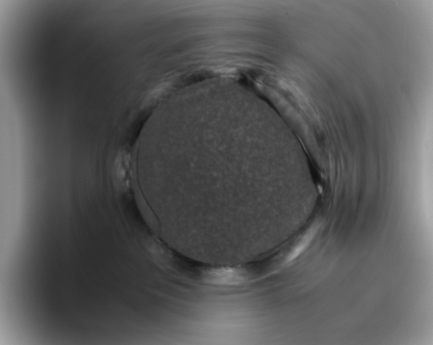 X0000095950237200801251136